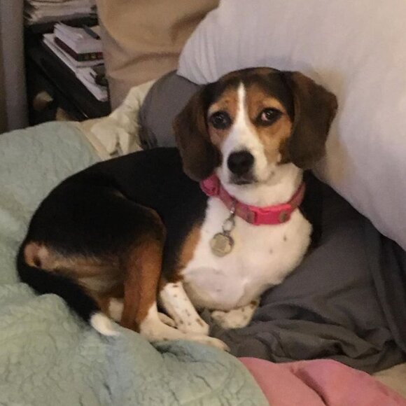 Meet your Posher, Carrie - Picture 7 of 13